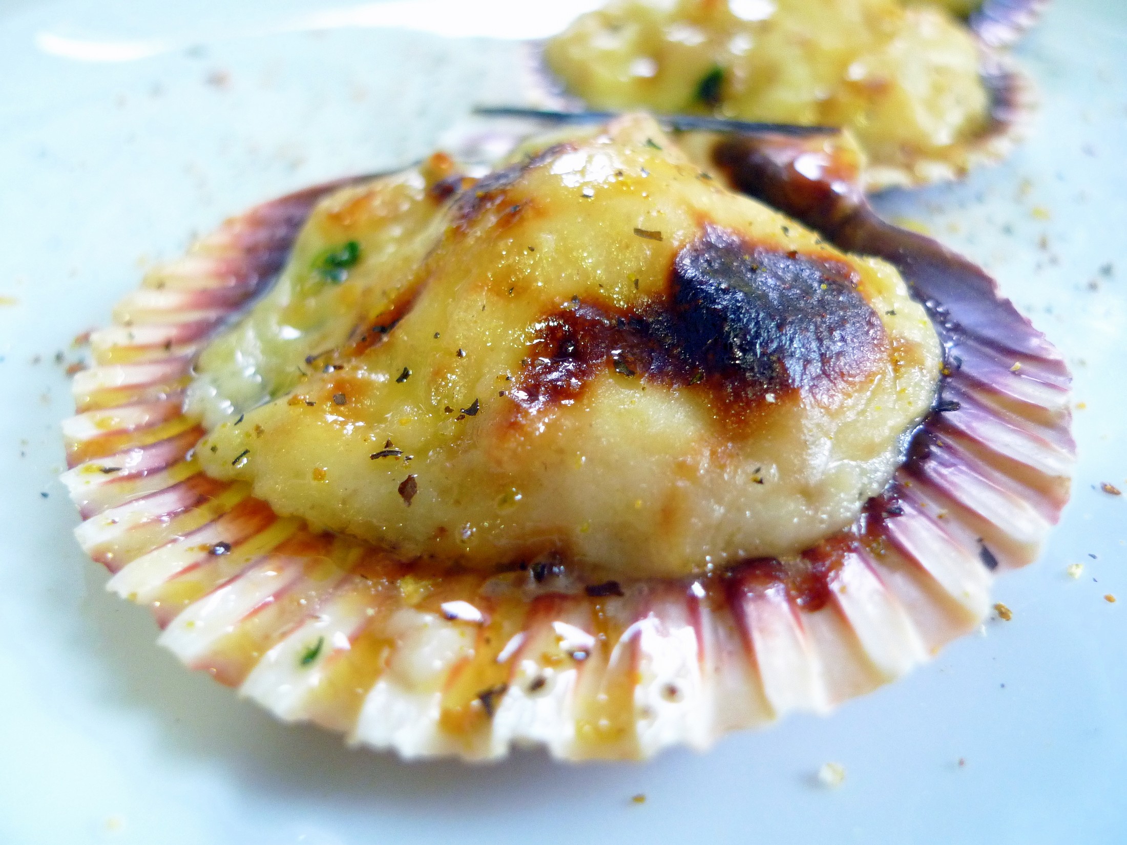 Vieiras gratinadas El Aderezo Blog de