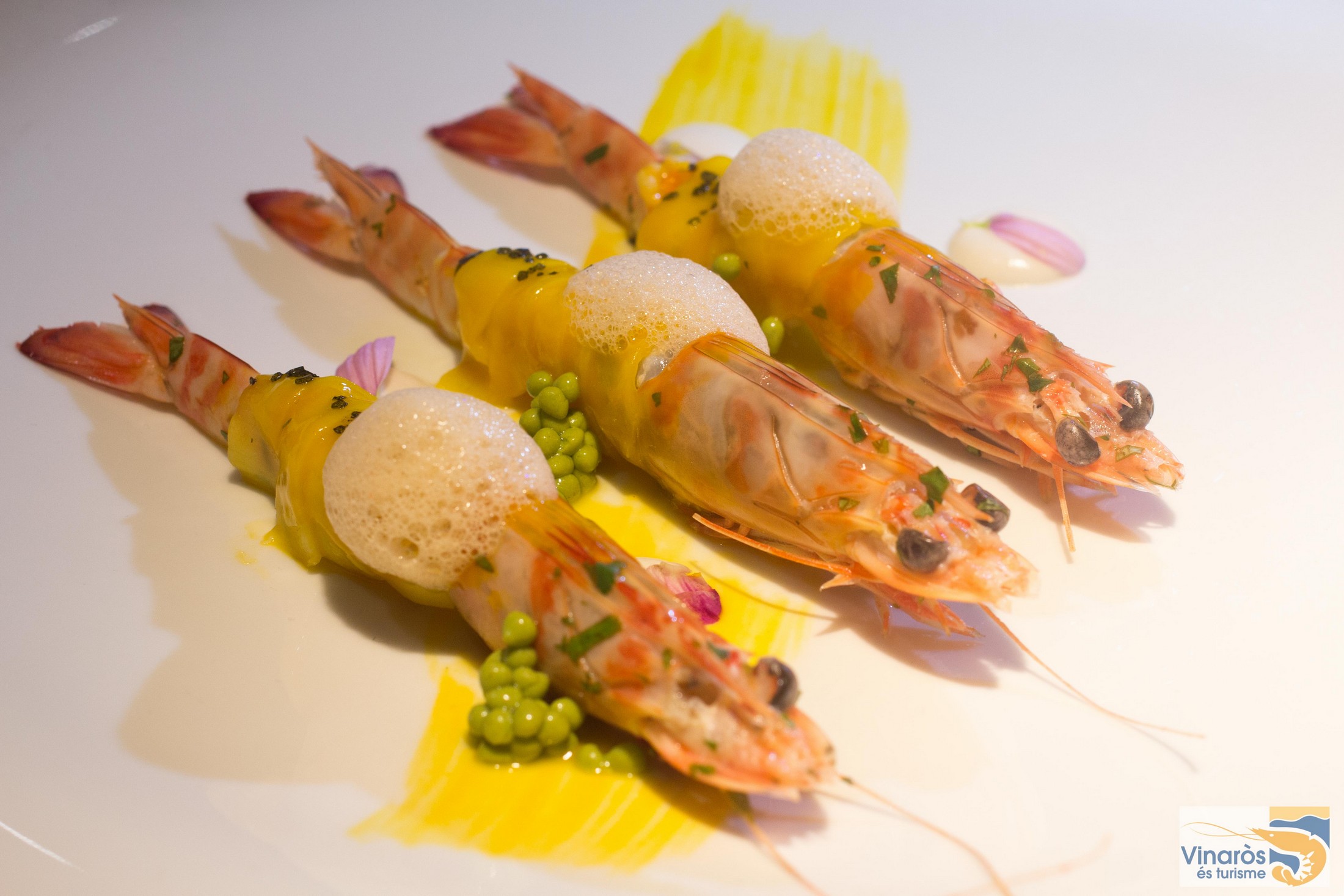 Campeonatos y concursos gastronómicos – blog de cocina ... Verde cucina creativo