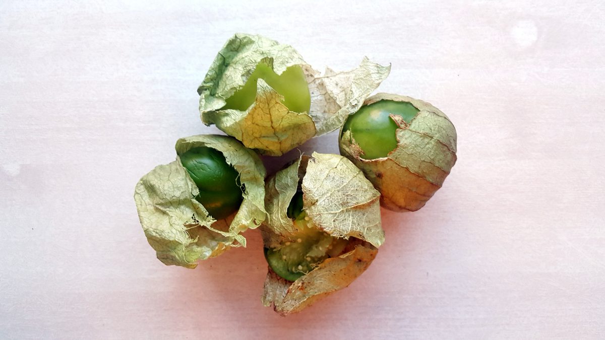 Que son los Tomatillos El Aderezo Blog de Cocina, Gastronomía y Recetas