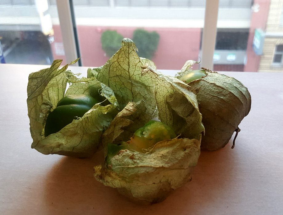 Que son los Tomatillos El Aderezo Blog de Cocina, Gastronomía y Recetas