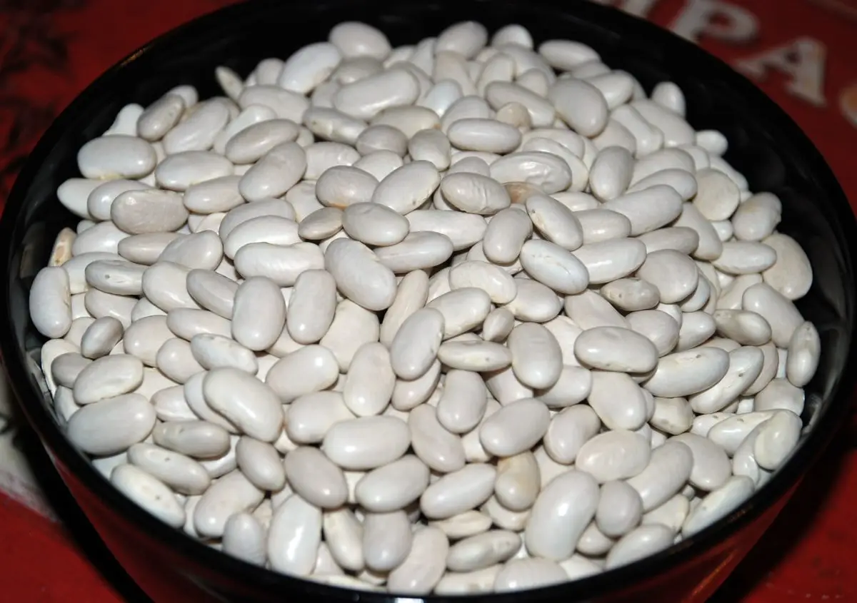 Alubias de Saldaña