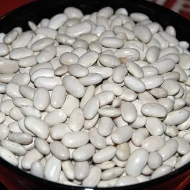 Alubias de Saldaña
