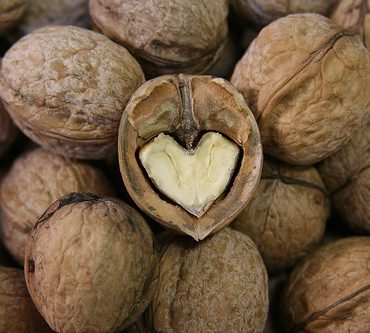 La nueces son buenas para la salud