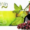 Guia Peñin de los vinos de España 2007