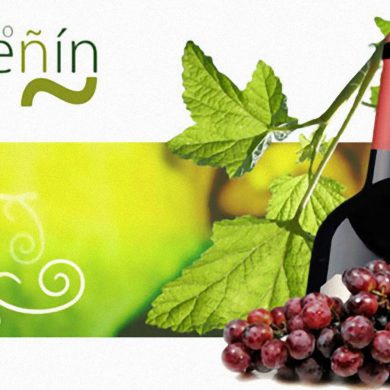 Guia Peñin de los vinos de España 2007