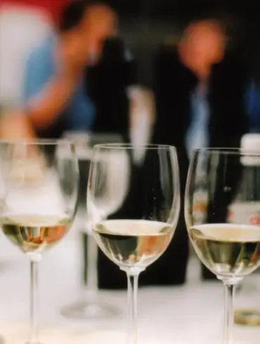 Noche del Vino