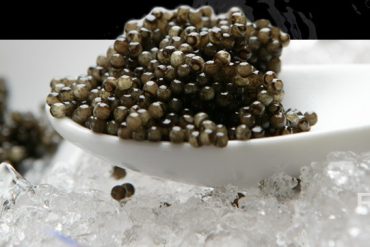 Caviar de Riofrío, producción ecológica de esturiones (2)