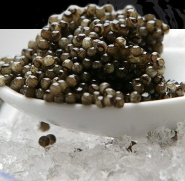 Caviar de Riofrío, producción ecológica de esturiones (2)