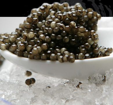 Caviar de Riofrío, producción ecológica de esturiones (2)