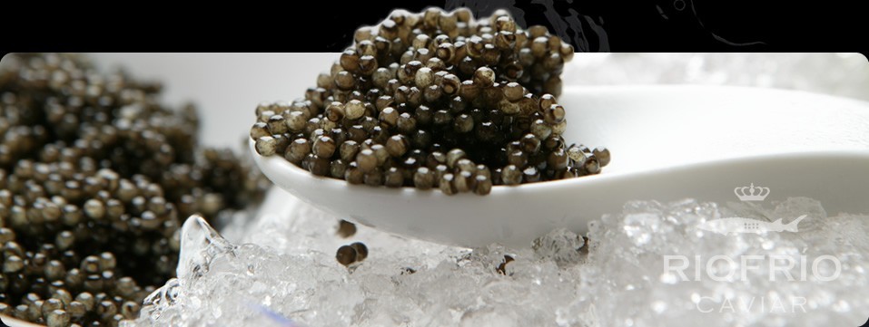 Caviar de Riofrío, producción ecológica de esturiones (2)