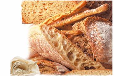 Monda, primer pan ecológico de España