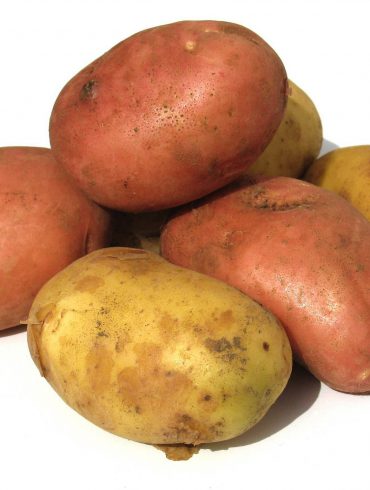 Patatas