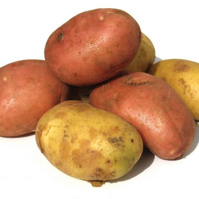 Patatas