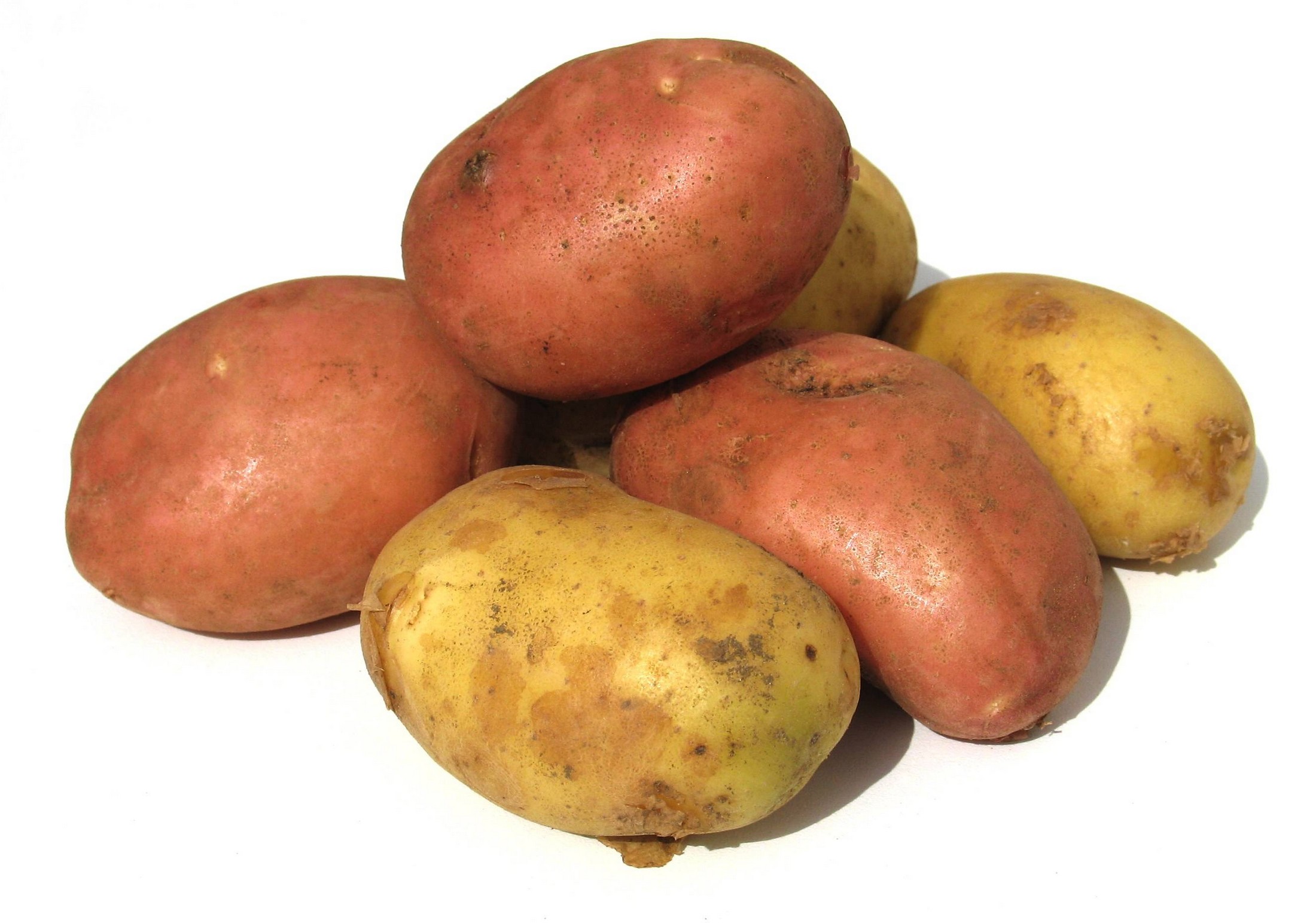 Patatas