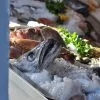Pescado fresco