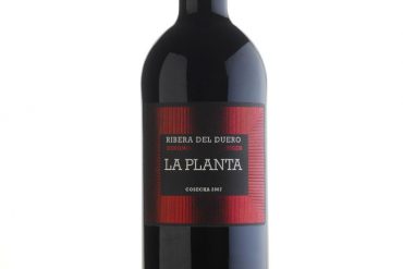 Vino Arzuaga La Planta