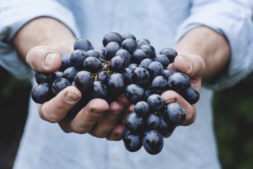 Racimo de Uvas