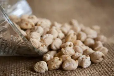 Garbanzos 1
