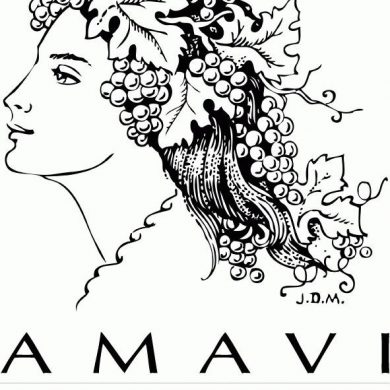 Logo Amavi