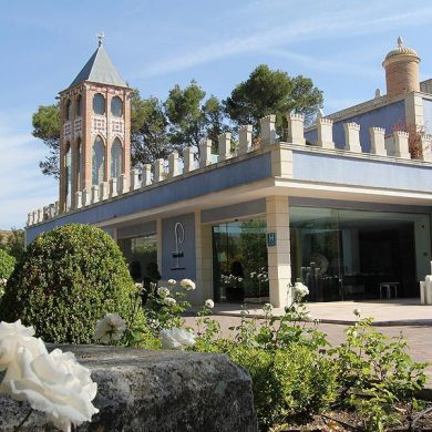 El Hotel del tenista Juan Carlos Ferrero (1)