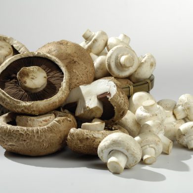 Champiñones