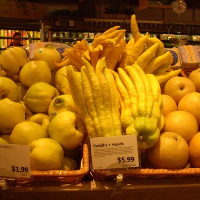 La mano de Buda, el limón más curioso