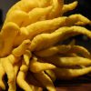 La mano de Buda, el limón más curioso