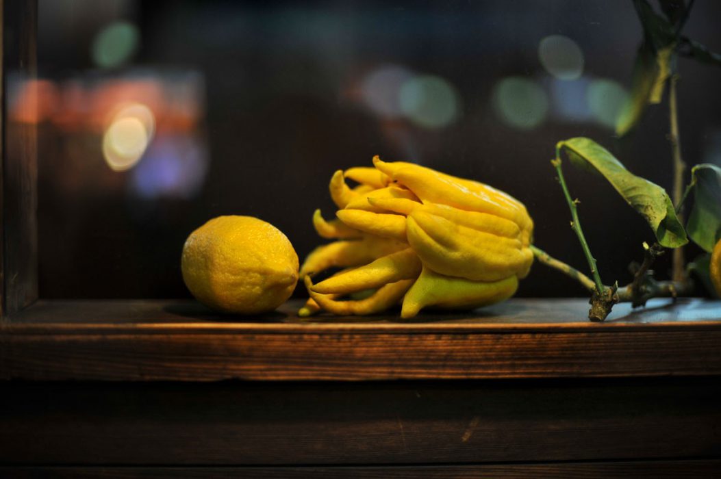 La mano de Buda, el limón más curioso