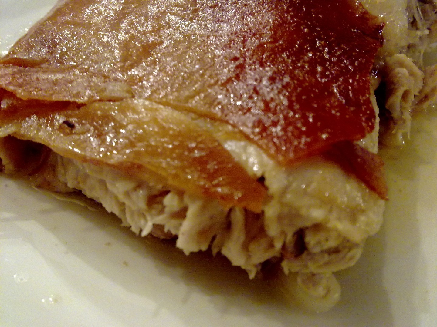 Cochinillo de Segovia 1