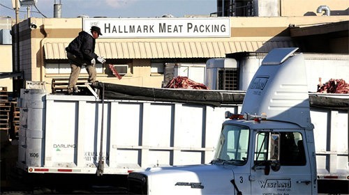 Hallmark/Westland Meat Packing Co.