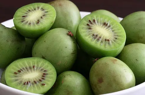 kiwiño 2 El kiwiño es una nueva fruta rica y dulce