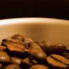 Kopi Luwak El café más caro del mundo (3)