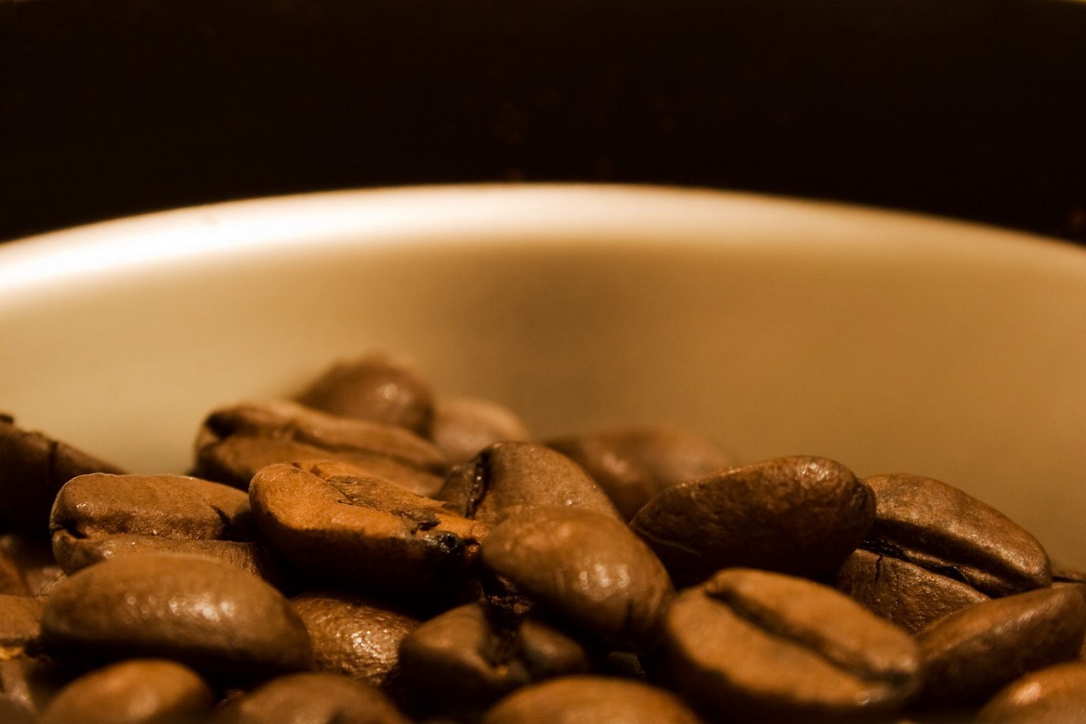 Kopi Luwak El café más caro del mundo