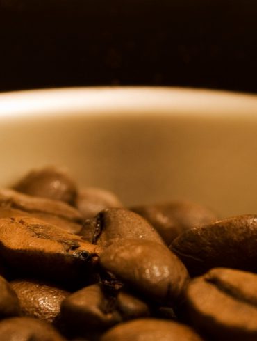 Kopi Luwak El café más caro del mundo (3)