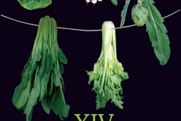 XIV Jornadas de la Exaltación de las Verduras