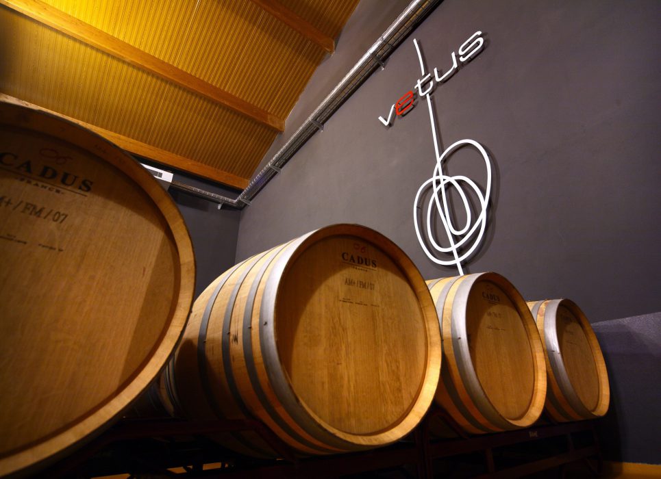 Bodegas Vetus 1