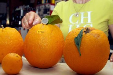 Naranjas de un 1 kilo y 200 gramos