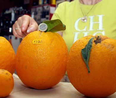 Naranjas de un 1 kilo y 200 gramos
