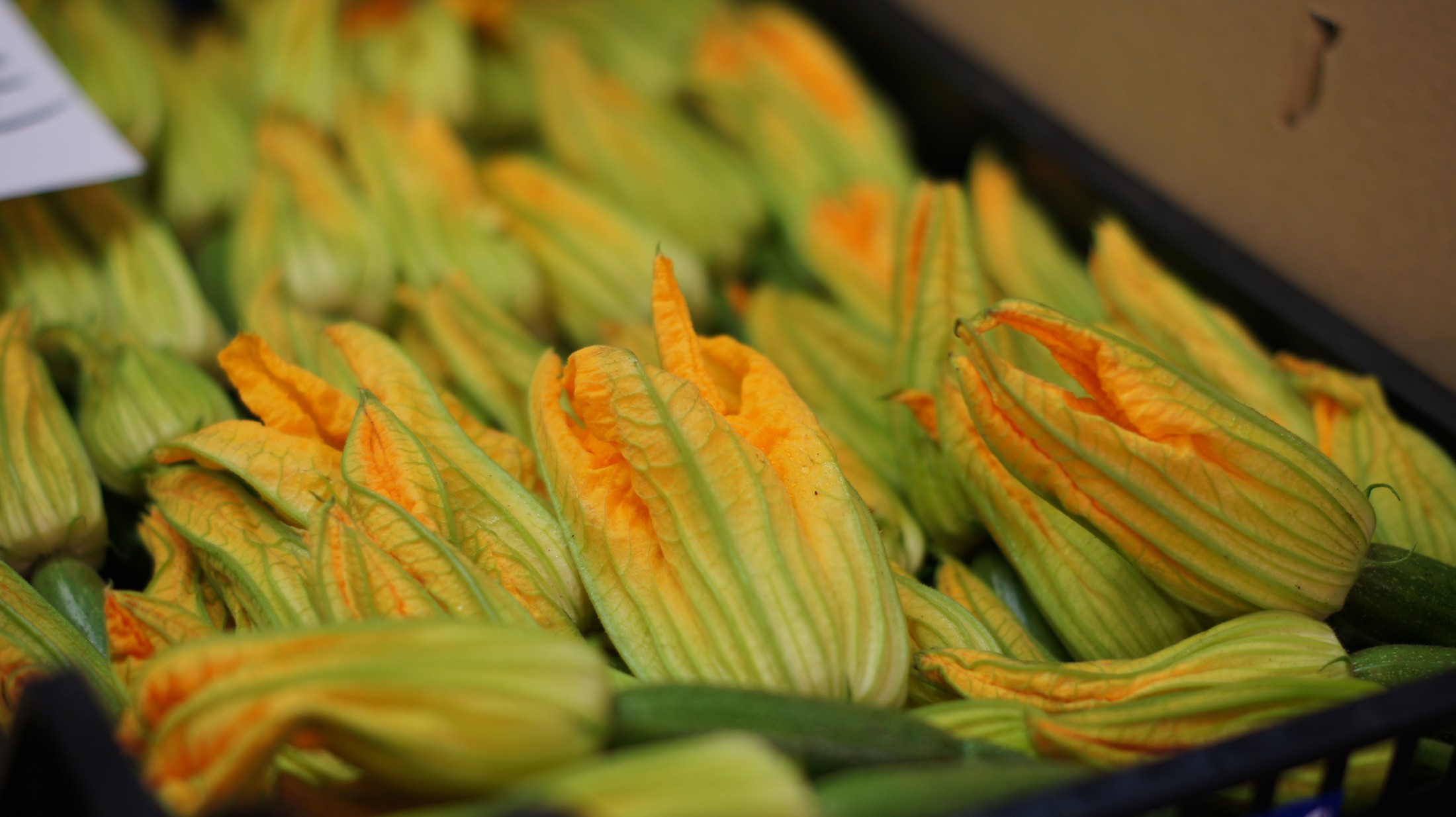 Flores de calabacín en el Mercado de la Boqueria