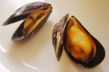 Mejillones