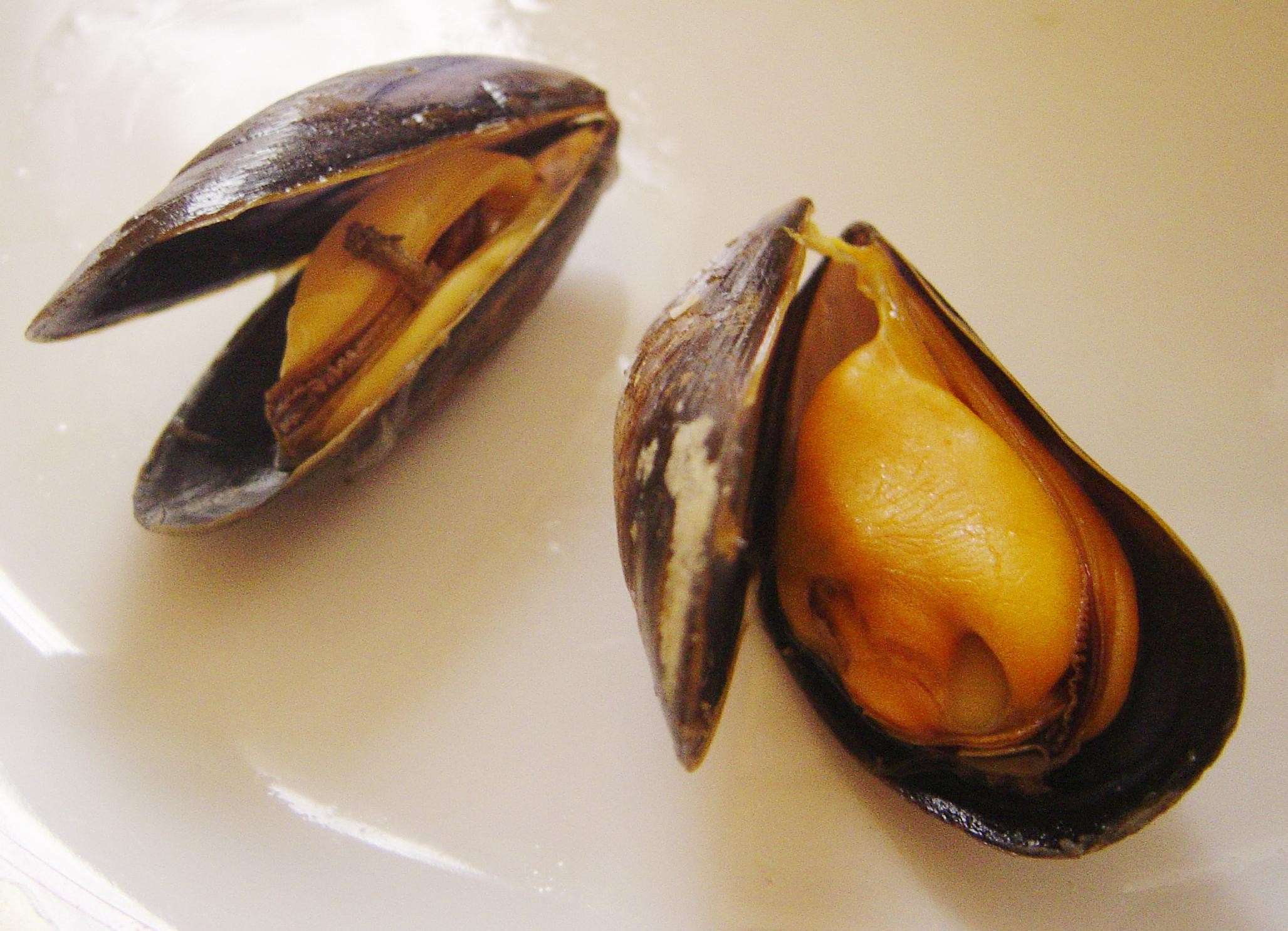 Mejillones