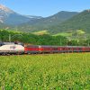 El "Tren-pranillo", un tren para conocer la Rioja