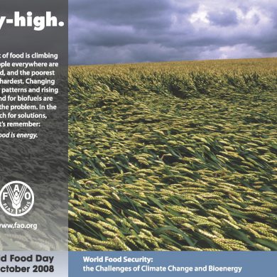 Día mundial de la Alimentación 2008 poster