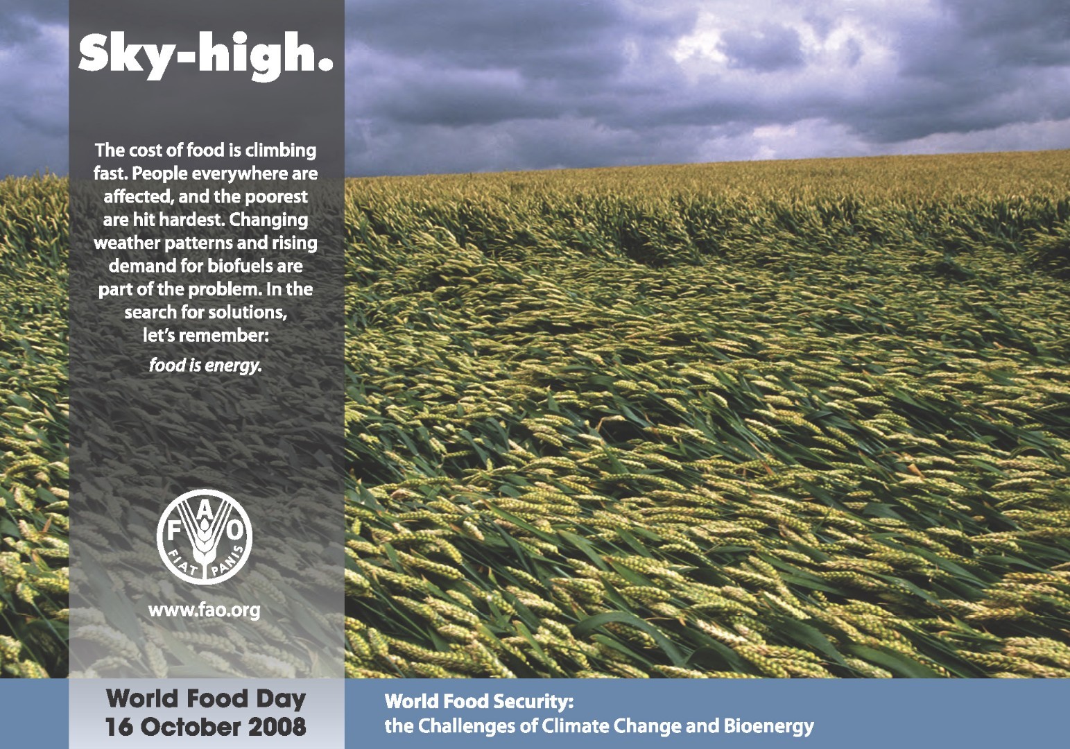 Día mundial de la Alimentación 2008 poster