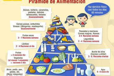 Piramide alimenticia