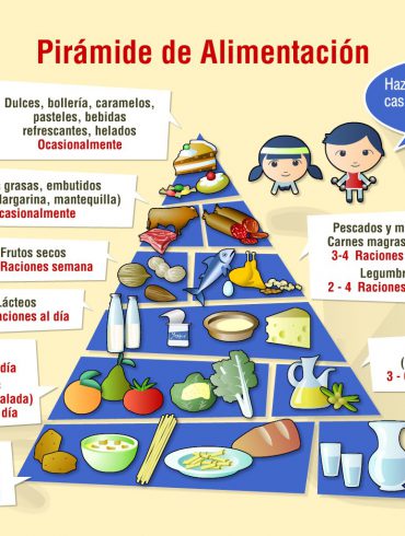 Piramide alimenticia