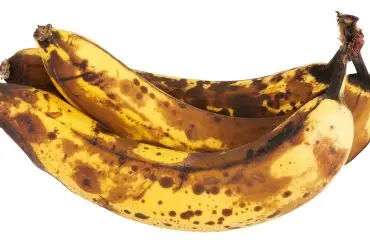 Platanos caducados