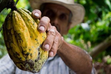 Producto de cacao