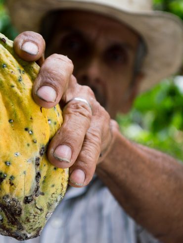 Producto de cacao