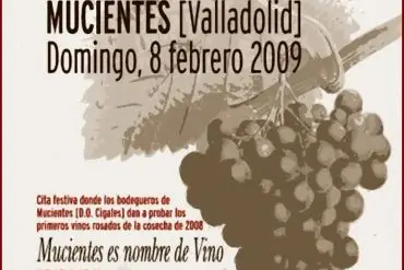Fiesta del primer vino cosecha 2008 Mucientes